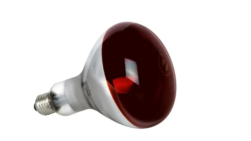 لامپ مادون قرمز